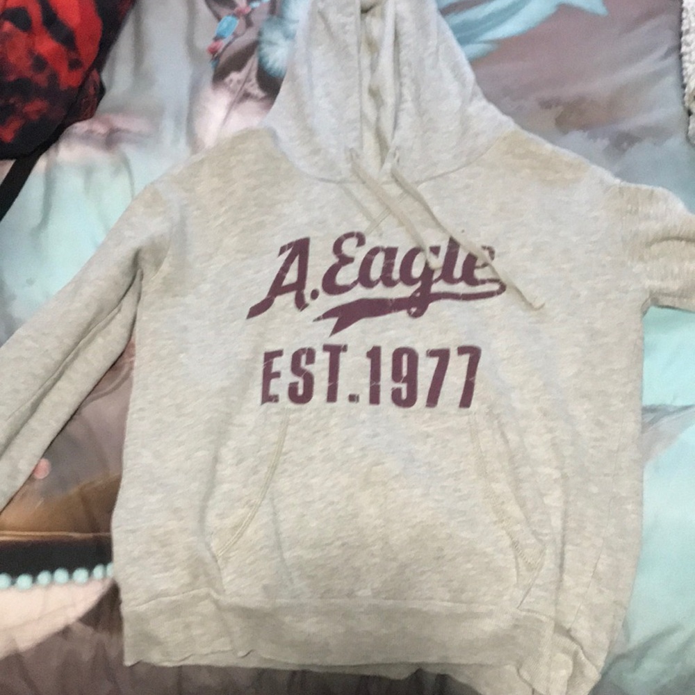 AE cropped hoodie